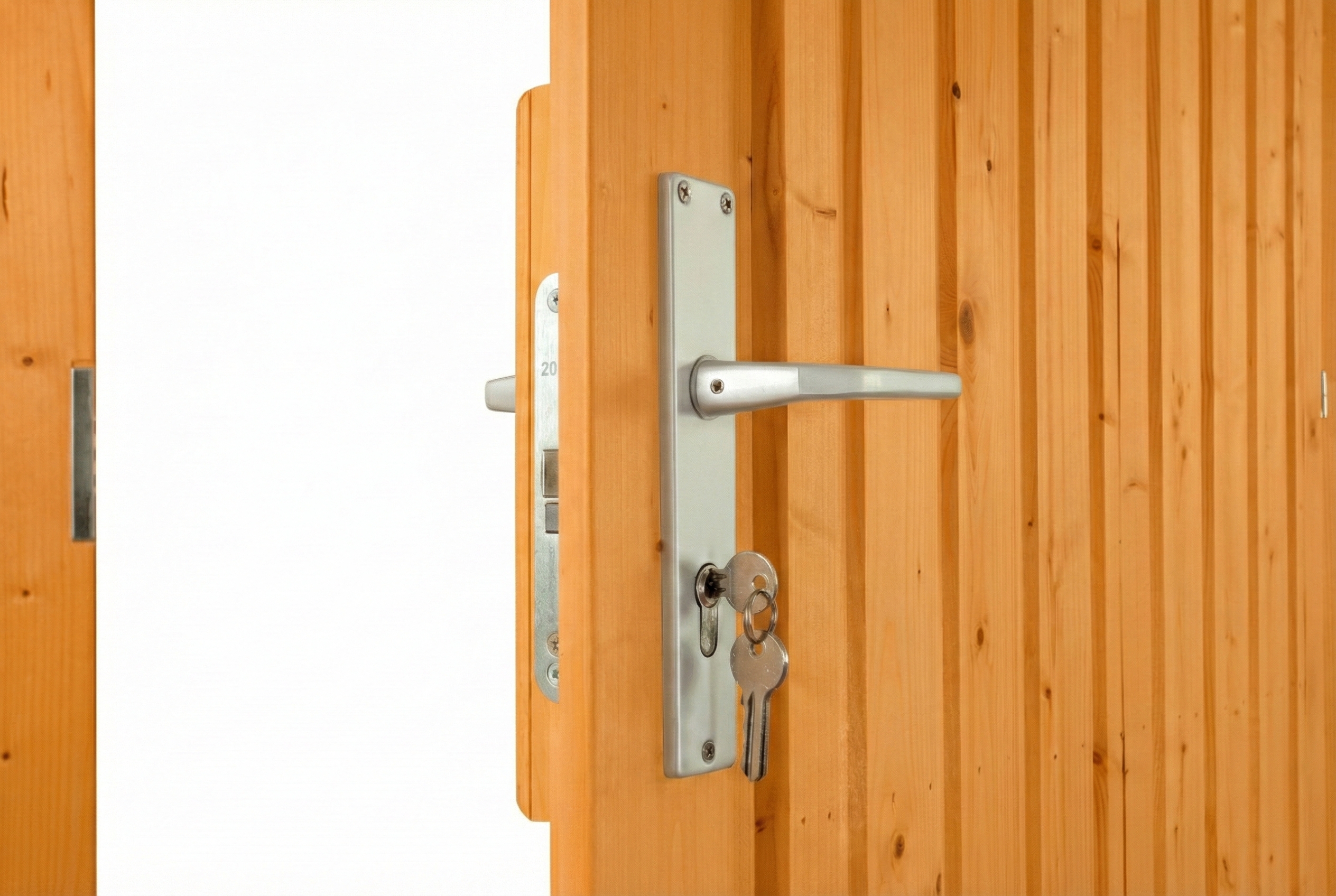 Single door for carports 98 x 198 cm, colour pre-treated in light oak