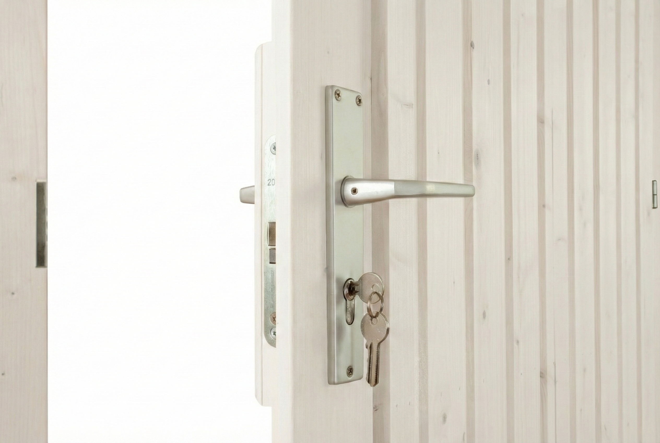 Single door for carports 98 x 198 cm, colour pre-treated in white