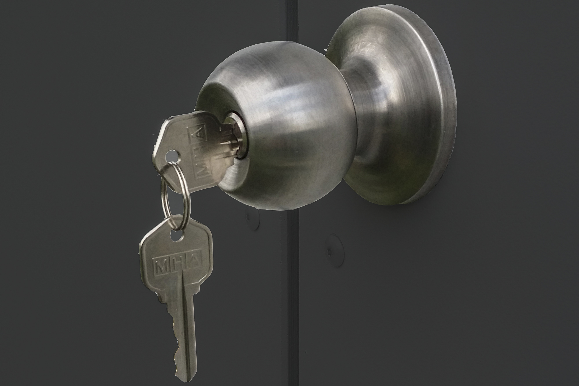 Abri de jardin BRISBANE 2, 253x169cm, gris ardoise